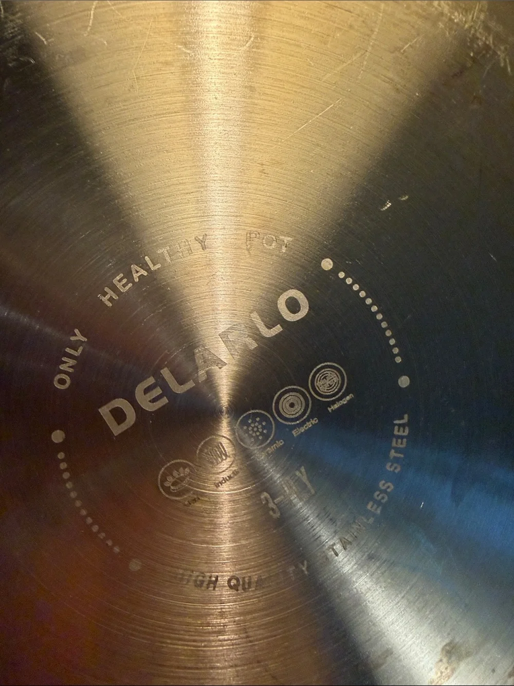 DELARLO Stainless Steel Covered Serving Pan with Gold-Tone Handles
